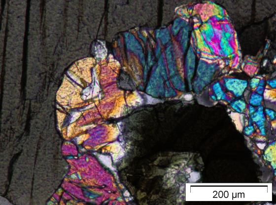 cristalli di olivina e pirosseno in una peridotite (MOLP, 200x, nicols incrociati)