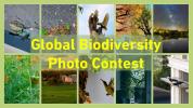 global biodiversity photo contest